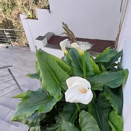 Avril Piscina Privada Y Amplias Terrazas Villa *